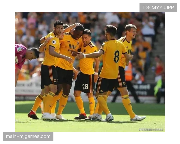 伤情更新：狼队、利兹联多名关键球员出战成疑